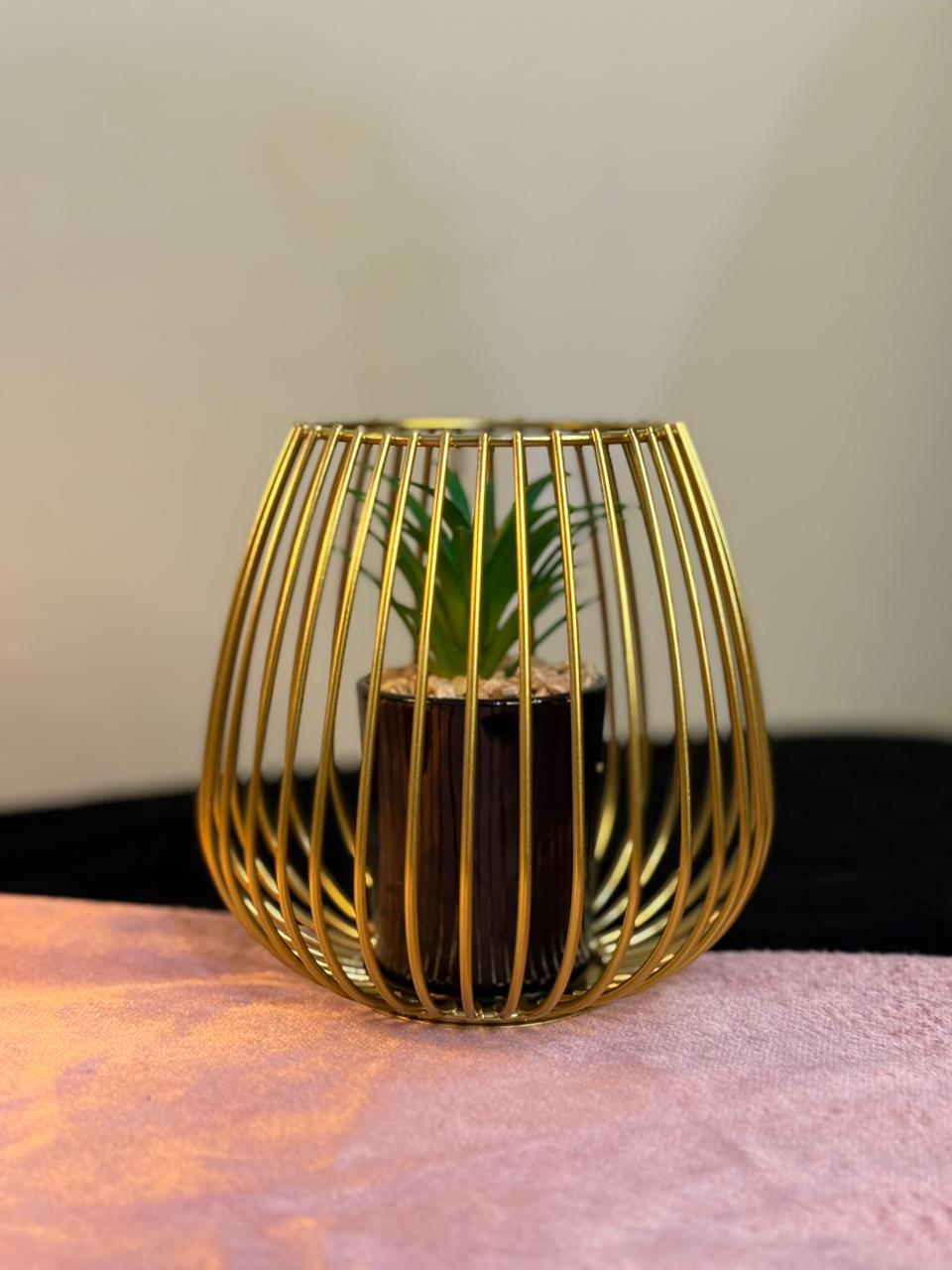 Gold wire cage planter with a small plant on a pink surface