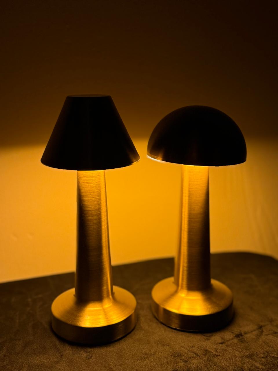 USB RECHARGEABLE PORTABLE TOUCH | 3 LIGHT COLOR TUNABLE TABLE LAMP