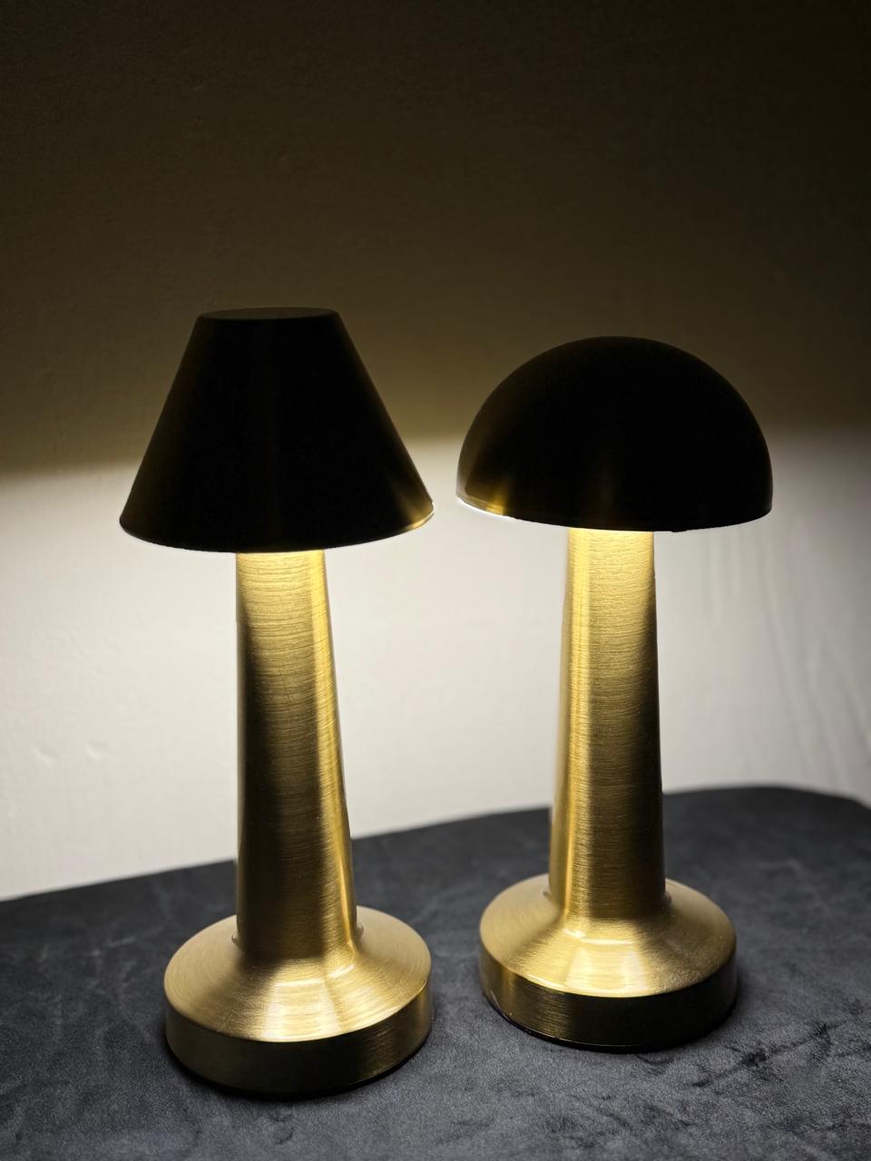 USB RECHARGEABLE PORTABLE TOUCH | 3 LIGHT COLOR TUNABLE TABLE LAMP